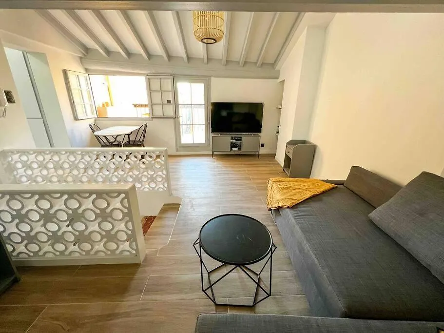 Beautiful Top Floor & Terrasse Nice